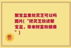 聚宝盆里放灵芝可以吗图片(“把灵芝放进聚宝盆，带来财富和健康”)