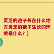 灵芝的孢子长在什么地方灵芝的孢子生长的环境是什么？)
