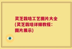 灵芝栽培工艺图片大全(灵芝栽培详细教程：图片展示)