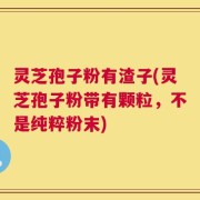灵芝孢子粉有渣子(灵芝孢子粉带有颗粒，不是纯粹粉末)