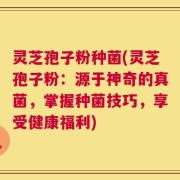 灵芝孢子粉种菌(灵芝孢子粉：源于神奇的真菌，掌握种菌技巧，享受健康福利)