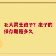 北大灵芝孢子？孢子的保存期是多久