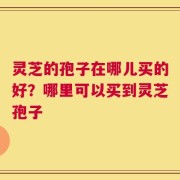 灵芝的孢子在哪儿买的好？哪里可以买到灵芝孢子