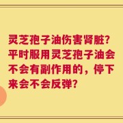 灵芝孢子油伤害肾脏？平时服用灵芝孢子油会不会有副作用的，停下来会不会反弹？