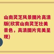 山南灵芝风景图片高清版(欣赏山南灵芝壮美景色，高清图片完美呈现)