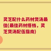 灵芝配什么药材煲汤最佳(最佳药材搭档，灵芝煲汤配伍指南)