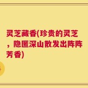 灵芝藏香(珍贵的灵芝，隐匿深山散发出阵阵芳香)