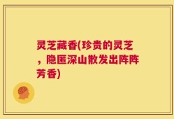 灵芝藏香(珍贵的灵芝，隐匿深山散发出阵阵芳香)