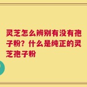 灵芝怎么辨别有没有孢子粉？什么是纯正的灵芝孢子粉