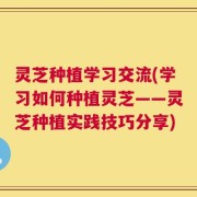 灵芝种植学习交流(学习如何种植灵芝——灵芝种植实践技巧分享)