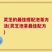 灵芝的最佳搭配泡茶方法(灵芝泡茶最佳配方)