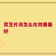 灵芝片该怎么吃效果最好