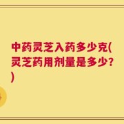 中药灵芝入药多少克(灵芝药用剂量是多少？)