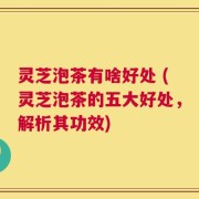 灵芝泡茶有啥好处 (灵芝泡茶的五大好处，解析其功效)