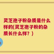 灵芝孢子粉杂质是什么样的(灵芝孢子粉的杂质长什么样？)