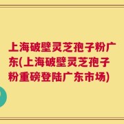 上海破壁灵芝孢子粉广东(上海破壁灵芝孢子粉重磅登陆广东市场)
