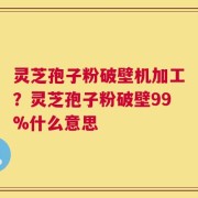 灵芝孢子粉破壁机加工？灵芝孢子粉破壁99%什么意思