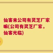 仙客来公司有灵芝厂家嘛(公司有灵芝厂家，仙客光临)