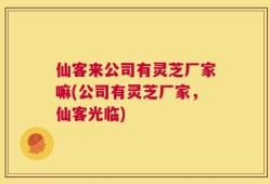 仙客来公司有灵芝厂家嘛(公司有灵芝厂家，仙客光临)