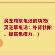 灵芝炖草龟汤的功效(灵芝草龟汤：补肾壮阳、提高免疫力。)