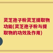 灵芝孢子粉灵芝提取物功能(灵芝孢子粉与提取物的功效及作用)