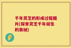千年灵芝的形成过程图片(探索灵芝千年诞生的奥秘)