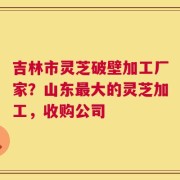 吉林市灵芝破壁加工厂家？山东最大的灵芝加工，收购公司