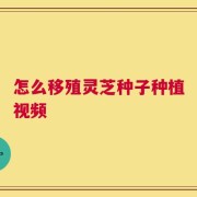怎么移殖灵芝种子种植视频