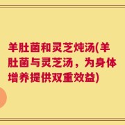羊肚菌和灵芝炖汤(羊肚菌与灵芝汤，为身体增养提供双重效益)
