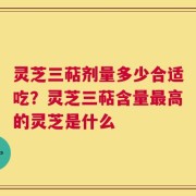灵芝三萜剂量多少合适吃？灵芝三萜含量最高的灵芝是什么
