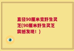 直径90厘米宽野生灵芝(90厘米野生灵芝震撼发现！)