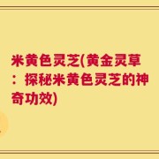 米黄色灵芝(黄金灵草：探秘米黄色灵芝的神奇功效)