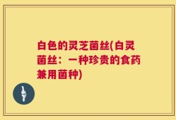 白色的灵芝菌丝(白灵菌丝：一种珍贵的食药兼用菌种)