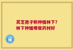灵芝孢子粉种植林下？林下种植哪些药材好