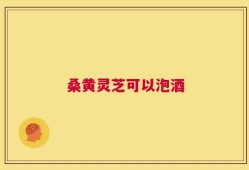 桑黄灵芝可以泡酒