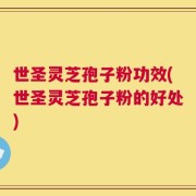 世圣灵芝孢子粉功效(世圣灵芝孢子粉的好处)