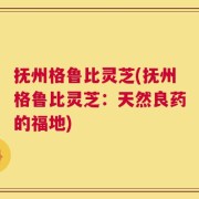 抚州格鲁比灵芝(抚州格鲁比灵芝：天然良药的福地)