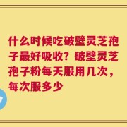 什么时候吃破壁灵芝孢子最好吸收？破壁灵芝孢子粉每天服用几次，每次服多少
