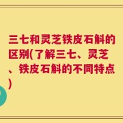 三七和灵芝铁皮石斛的区别(了解三七、灵芝、铁皮石斛的不同特点)