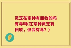 灵芝在家种有回收的吗有毒吗(在家种灵芝有回收，但会有毒？)