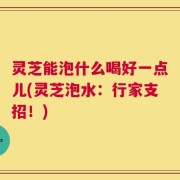 灵芝能泡什么喝好一点儿(灵芝泡水：行家支招！)