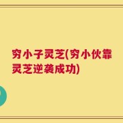 穷小子灵芝(穷小伙靠灵芝逆袭成功)