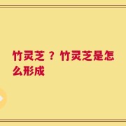 竹灵芝 ？竹灵芝是怎么形成