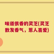 味道很香的灵芝(灵芝散发香气，惹人喜爱)