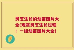 灵芝生长的幼苗图片大全(观赏灵芝生长过程：一组幼苗图片大全)