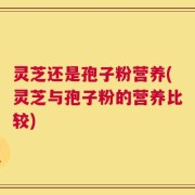 灵芝还是孢子粉营养(灵芝与孢子粉的营养比较)