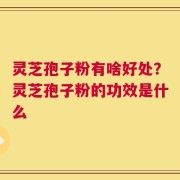 灵芝孢子粉有啥好处？灵芝孢子粉的功效是什么