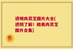 透明肉灵芝图片大全(透彻了解！精美肉灵芝图片合集)