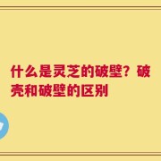 什么是灵芝的破壁？破壳和破壁的区别