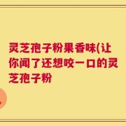 灵芝孢子粉果香味(让你闻了还想咬一口的灵芝孢子粉